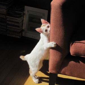 Meet your Posher, Loretta